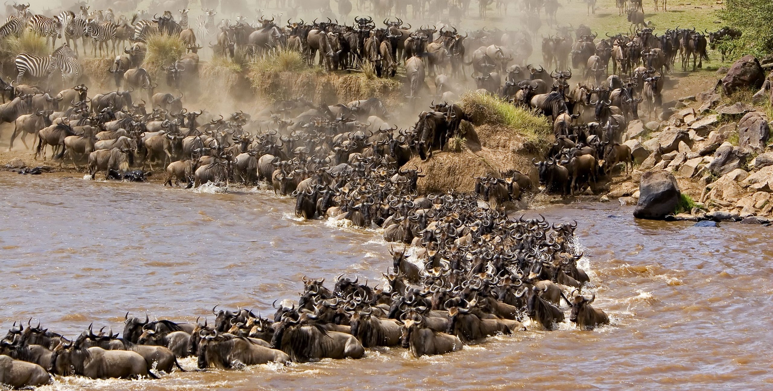 SERENGETI MIGRATION